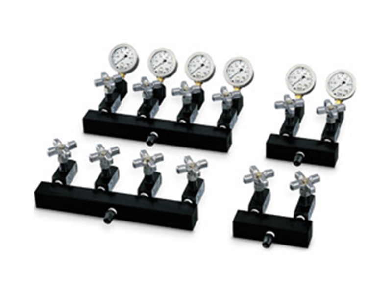 MY 系列多(duō)路(lù)分(fēn)配器(qì)帶開(kāi)關閥